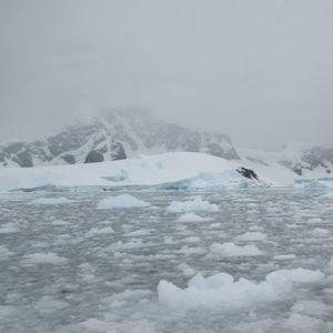 Meet your Posher, Kasandra